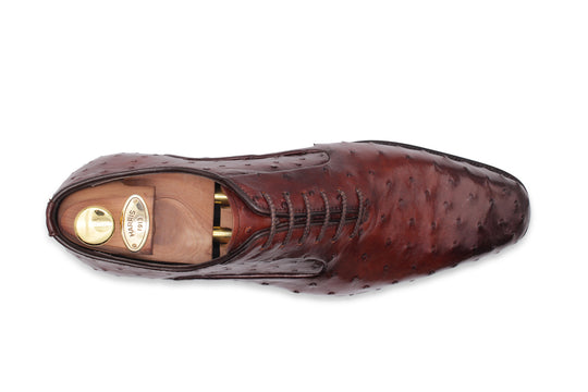 Cuir précieux à cordes