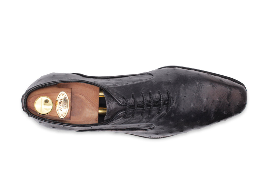 Cuir précieux à cordes