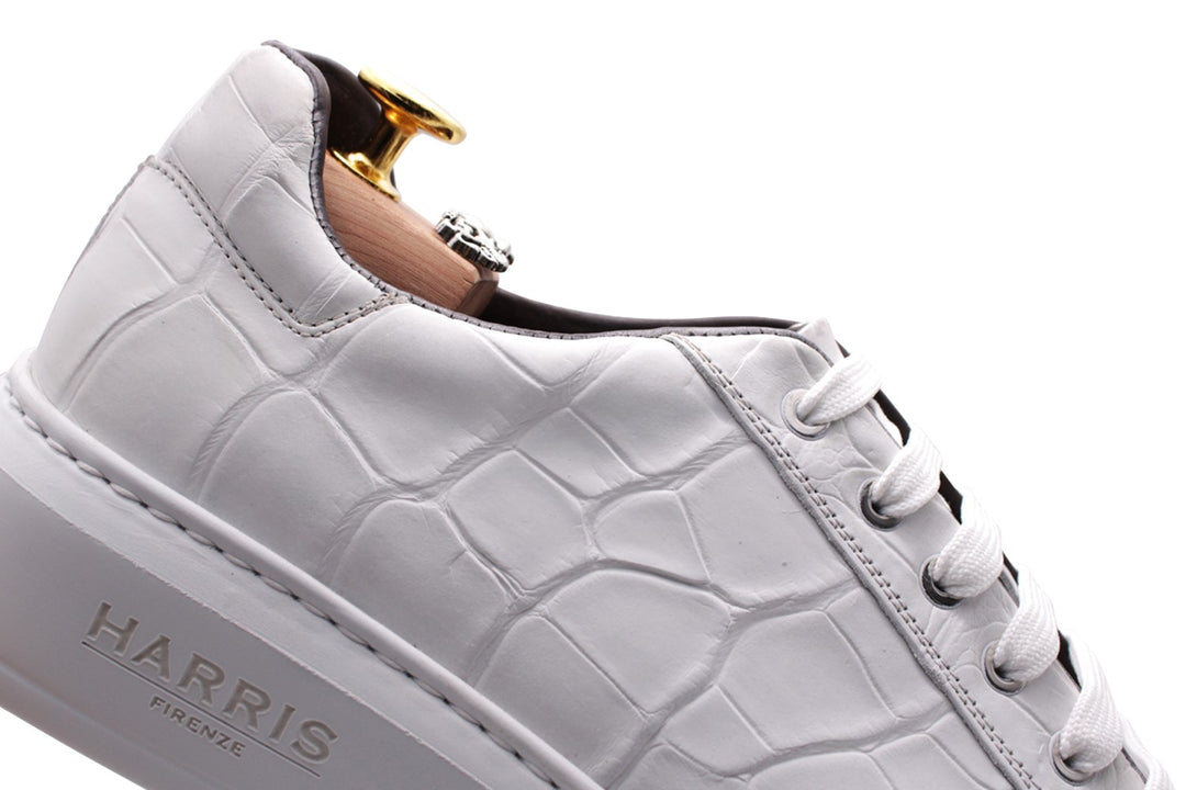 Crocodrillo -Turnschuhe