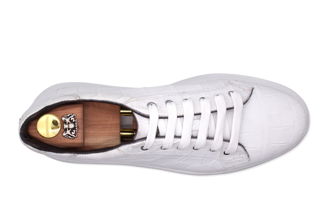 Crocodrillo -Turnschuhe