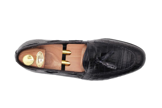 Crocodile moccadrillo