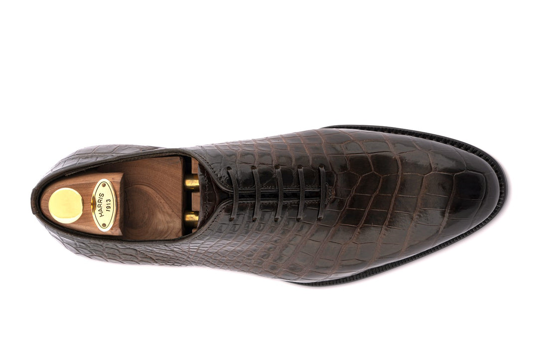 French in crocodile
