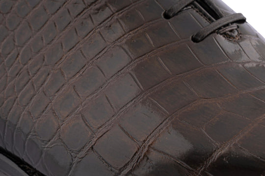 French in crocodile